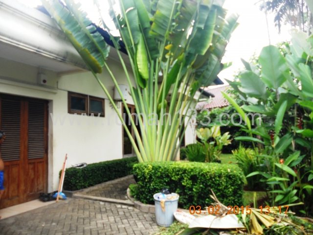 Rumah Di Jakarta Selatan Kawasan Kemang Dalam Area, Kemang, Jakarta Selatan