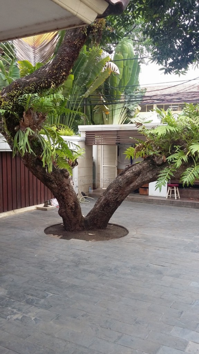 Rumah Siap Huni @ Kebayoran baru, Kebayoran Baru, Jakarta Selatan