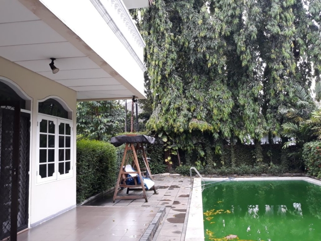 Rumah Luas, Nyaman dan Asri di Kemang, Kemang, Jakarta Selatan