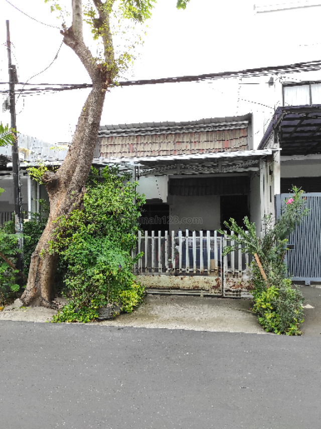 rumah tua letak strategis, Sunter, Jakarta Utara