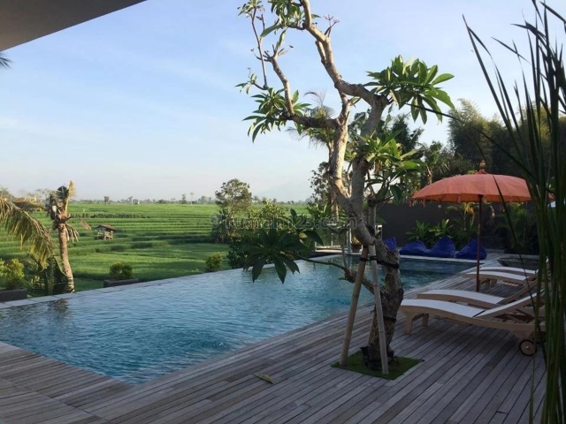 GREET VILLA FULL VIEW sawah canggu babakan dkt pantai brawa, Canggu, Badung