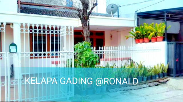LIMITED STOCK!! KELAPA KOPYOR 6X15 JALAN LEGA HDP SELATAN, Kelapa Gading, Jakarta Utara