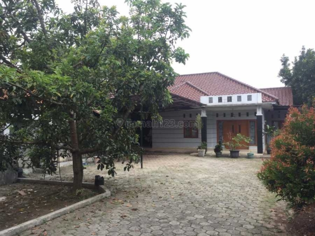 Rumah Bagus TANAH BESAR Halaman Luas, SHM, MURAH, Jagakarsa, Jakarta Selatan