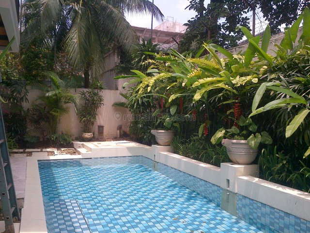 Very Quiet,comfortable,beautiful And Cool, Good Air Quality, Kemang, Jakarta Selatan