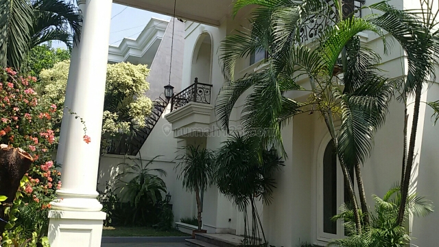 Tropical House @ Kemang Jakarta selatan, Kemang, Jakarta Selatan
