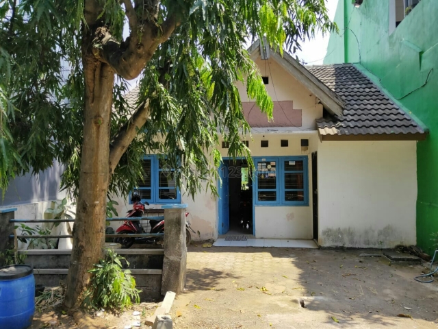 Rumah asri dkt dgn kampus Undip,good invest, Semarang Selatan, Semarang