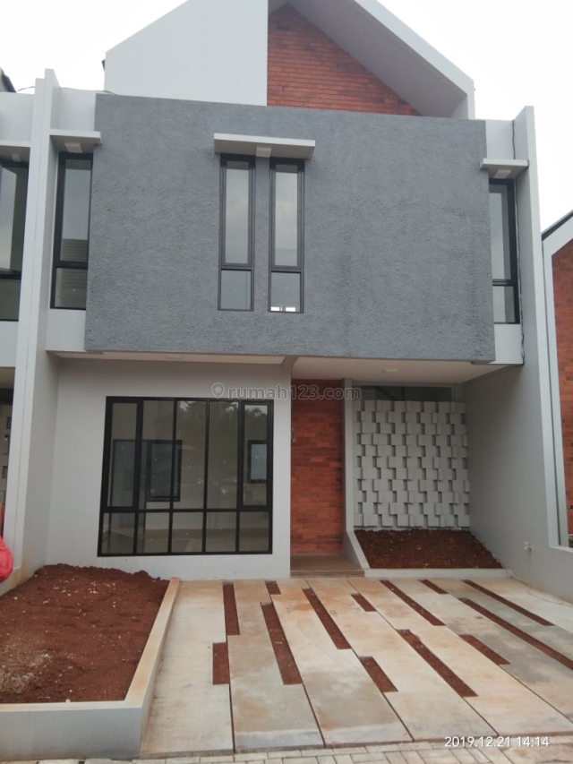 CALANTHA CINERE (YU), Limo, Depok