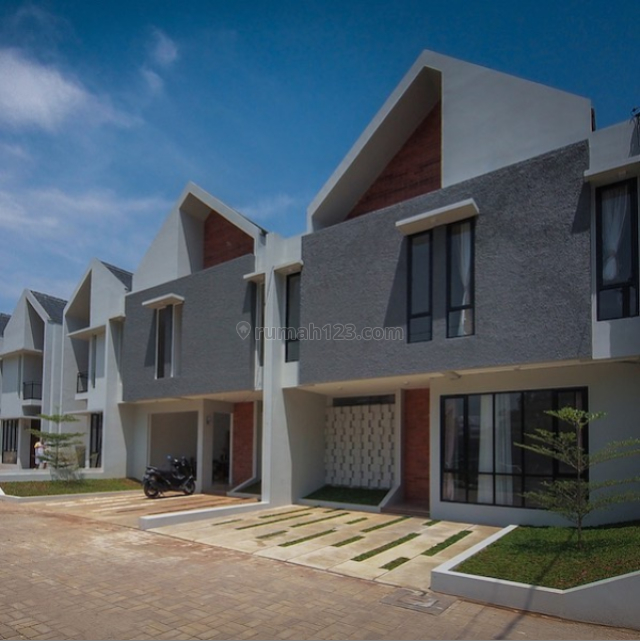 CALANTHA CINERE (GR), Limo, Depok