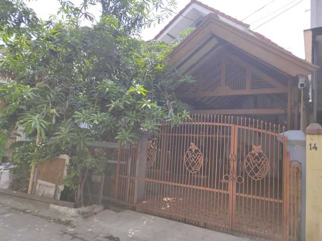 Rumah 1,5 lantai yang Asri Harga nego sampai deal di Semper Jakarta Utara, Semper, Jakarta Utara