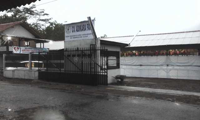 Dijual Peternakan Ayam Broiler Kandang Siap Pakai di Cilacap, Wanareja, Cilacap