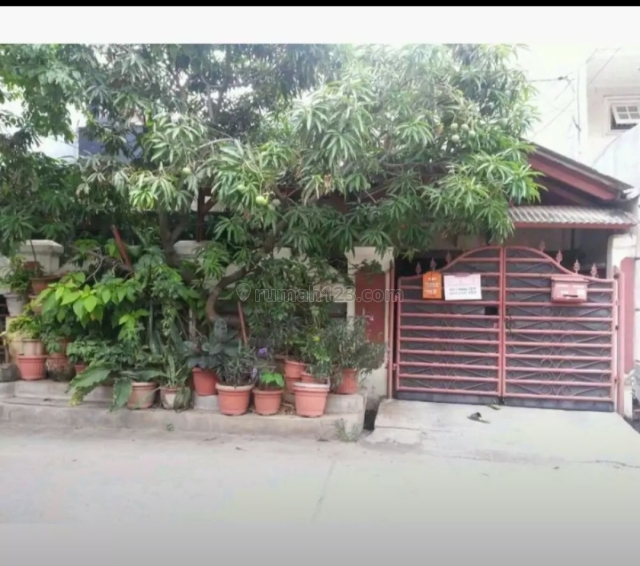 Rumah Tinggal Hitung Tanah di Pluit Barat Jakarta Utara, Pluit, Jakarta Utara