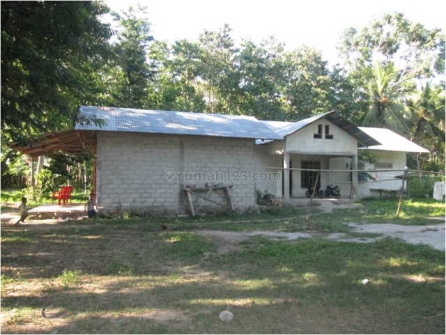 Rumah, SHM, Lokasi Jalan Kamaru Djawa, Kota Waingapu, Sumba Timur