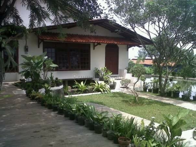 Segera Nego Rumah dan Tanah Luas Bagus di Tenjolaya BOGOR, Tenjolaya, Bogor