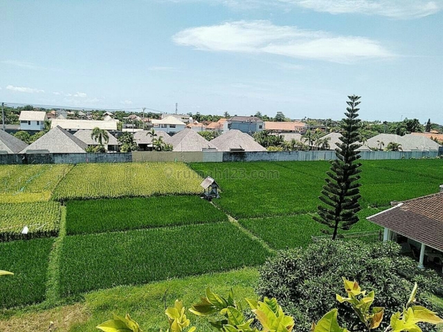Villa luxury super murah siap Huni Di umalas kerobokan Badung Bali, Umalas, Badung
