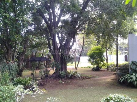 Rumah tua di lahan tanah yang luas, cocok untuk investasi town house..., Duren Tiga, Jakarta Selatan