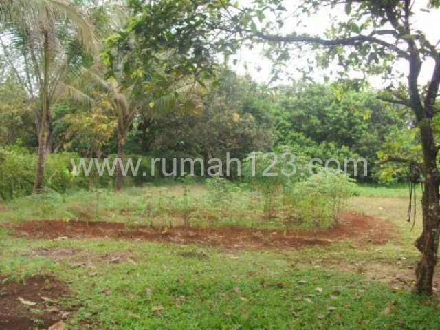 Kebun, Parung, Bogor
