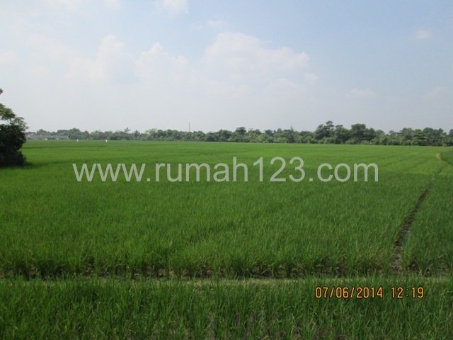 Tanah Di JlAlternative Karawang, Karawang Timur, Karawang