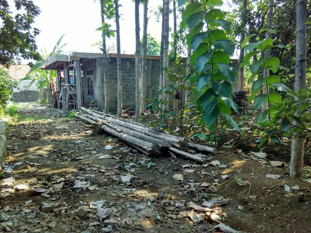 Tanah Assri Samping Jasmin sektor VII, Cilendek, Bogor