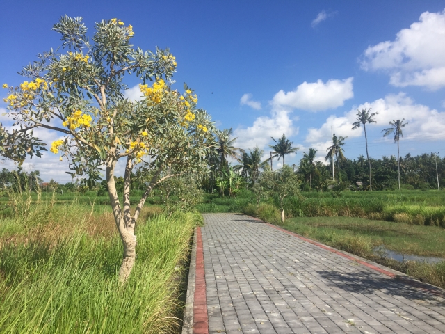 Djl Tanah Kavling Pering - Gianyar - Bali, Pering, Gianyar