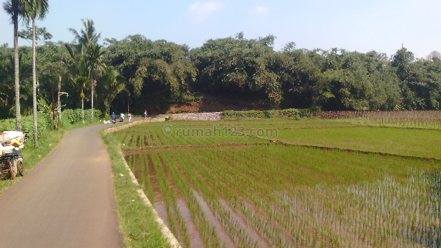 Lahan Sawah Dan Kebun Dengan Lanscape Indah, Cinangneng Bogor, Ciampea, Bogor