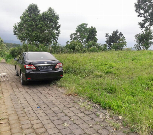Tanah 24 are di Plaga,Petang Badung dkt Kintamani, Petang, Badung