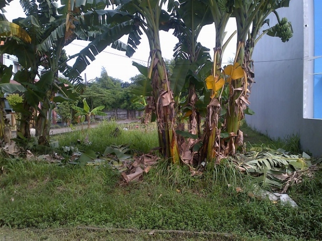 Tanah Villa Ja Setia Bekasi, Jaka Setia, Bekasi