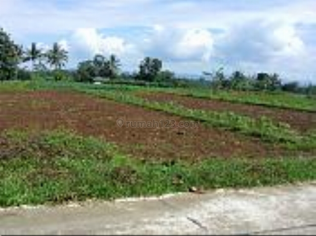 TANAH MURAH KAMPUNG WISATA TEGAL WARU COCOK UNTUK PERKEBUNAN HASIL UNGGUL, Ciampea, Bogor