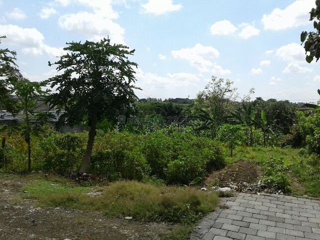 Tanah untuk Villa di Bali, Nyanyi, Badung