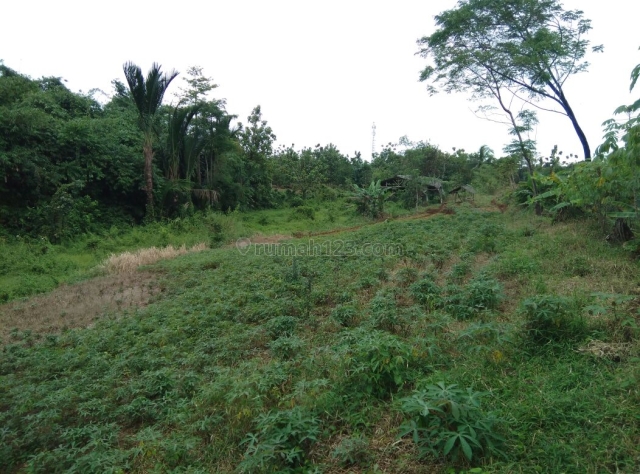 Tanah bogor Lapangan Tembak Ciampea Bogor Luas 5000 Meter, Ciampea, Bogor