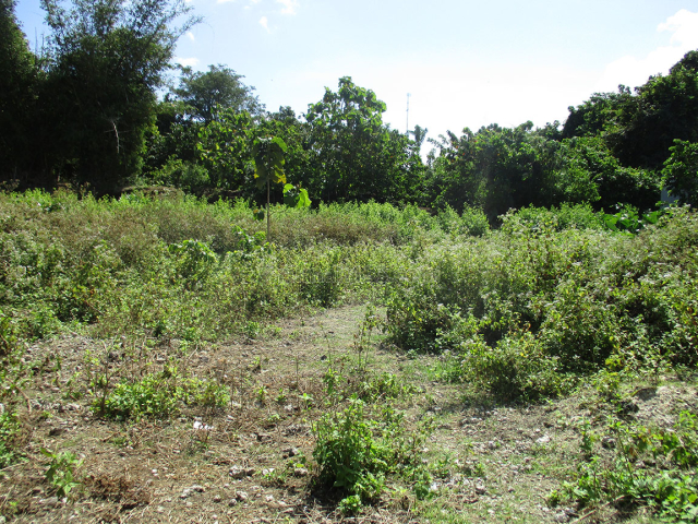 Tanah / Land 300m2 at Ungasan, Bali, Jimbaran, Badung