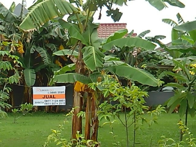 dpt dibangun rmh minimalis, Alam Sutera, Tangerang