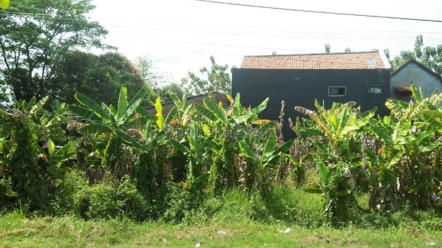 Lahan tengah Kota, Pedurungan, Semarang