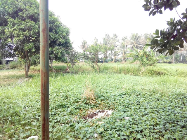 Johanes Sutandi RWCG - Tanah bonus 16 gudang dekat bandara di teluk naga, kampung melayu - Tangerang, Teluk Naga, Tangerang