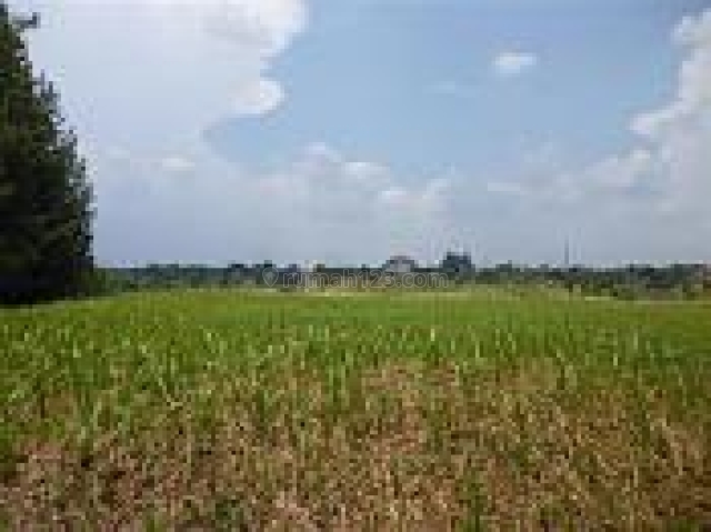 Harga kavling murah dan lokasi bagus,terbaik, Cengkareng, Jakarta Barat