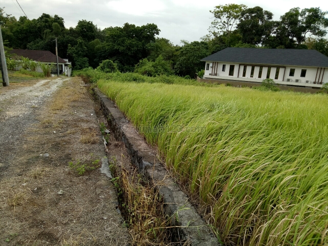 Tanah:1500m2 super langka siap Bangun Di echo Beach canggu Badung Bali, Canggu, Badung