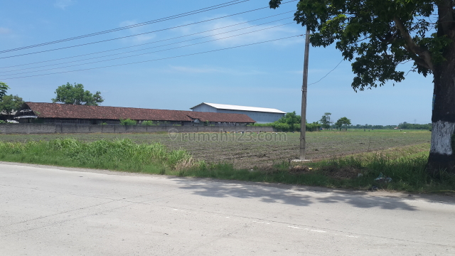 Tanah lokasi jl raya jatibarang, Jatibarang, Brebes