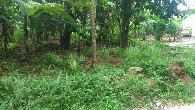 Tanah Strategis Siap Bangun di Kraanggan Jatiranggon Dekat Cibubur, Jatiranggon, Bekasi