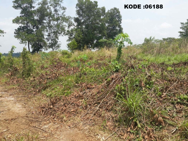 KODE :06188(Br/Gn) Kavling Tangerang, Luas 3 Ha (30.000 Meter), Mauk, Tangerang