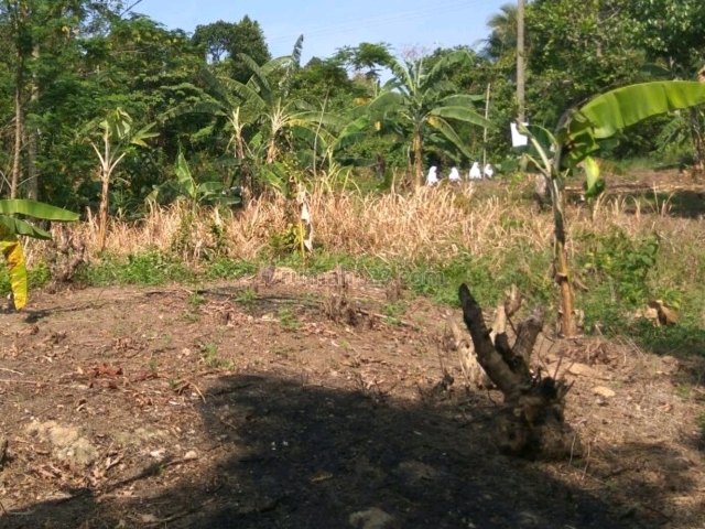 Tanah Strategis Kebagusan Jaksel, Kebagusan, Jakarta Selatan