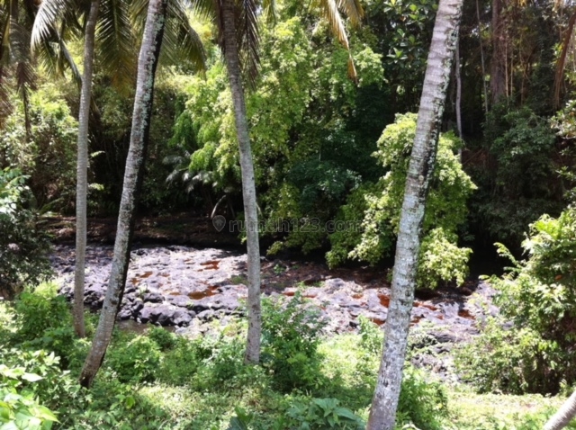 Djl Tanah 1,800 m2 View Sungai & Sawah di Buwit - Tanah Lot - Tabanan - Bali, Kediri, Tabanan