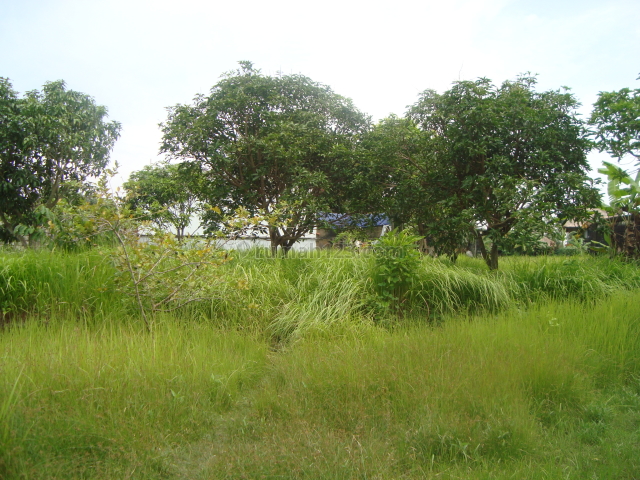 Diswkan Tanah 1,300 m2 di Echo Beach - Canggu - Bali, Canggu, Badung