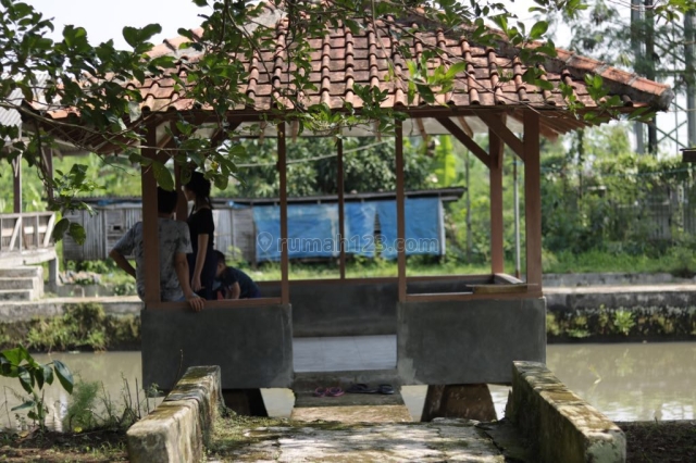 Tanah di Ciampea Bogor Harga 1 juta permeter, Ciampea, Bogor