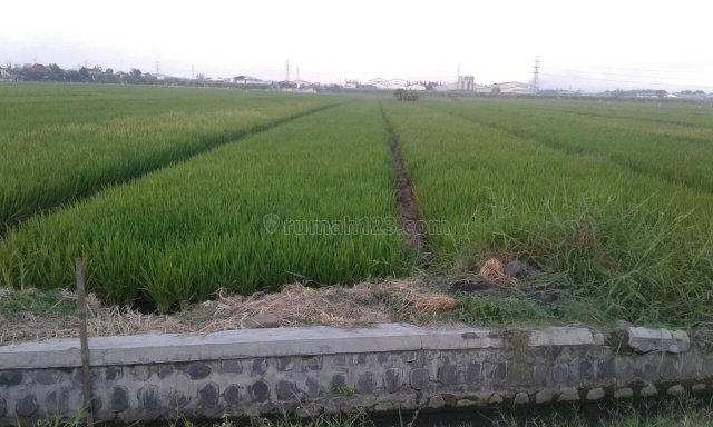 Jabaran, Balong Bendo, Balongbendo, Sidoarjo