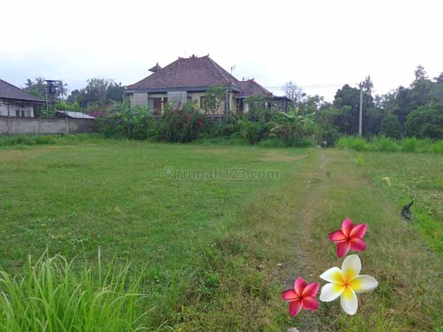 JTU 442 - Tanah Di Ubud-Bali View Sawah Dan Kebun, Cocok Villa Seluas 10 Are, Ubud, Gianyar