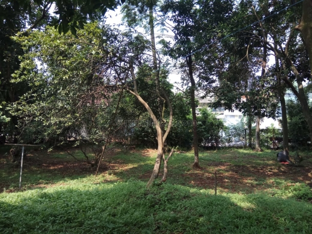 Tanah LUAS di dalam KOMPLEKS, Pondok Labu, Jakarta Selatan, Pondok Labu, Jakarta Selatan