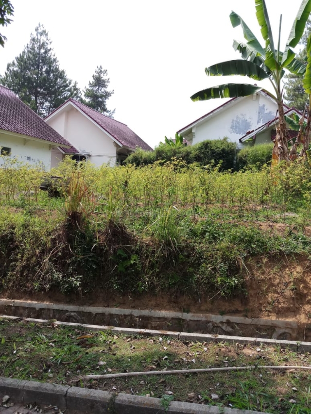 KAVLING TANAH GANDENG 2 UNIT MURAH DI VILA LOTUS CIPANAS, Cipanas, Cianjur