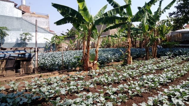 Tanah di Sariwangi lihat dulu krn murah dan bagus lokasinya., Sariwangi, Bandung