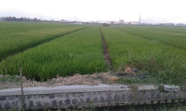 Jabaran, Balong Bendo, Balongbendo, Sidoarjo