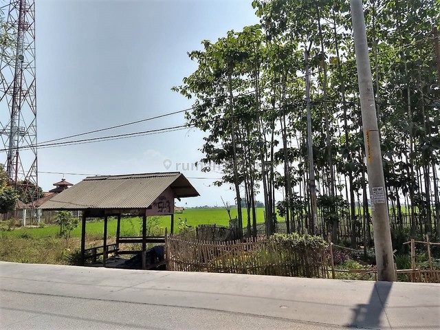 Tanah Cocok Untuk Perumahan Atau Gudang Di Jalan Besar Majalaya Sapan, Majalaya, Bandung