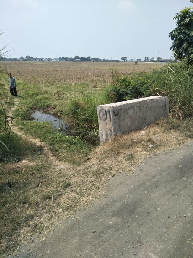 Tanah di Sukaringin Bekasi 1,3 HA Sertifikat SHM, Sukawangi, Bekasi